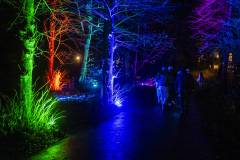 202310-Par-pa-fotografie-Scheveningen-LightWalk-Golazo-8859-1